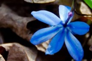 zRockface-Waterscapes