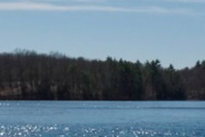 zDigital-Custom-Websites