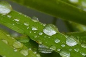 zAnything-All-Computers