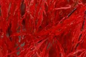 zTriton-of-California-Insurance-Agency