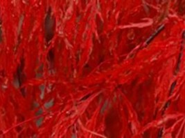 zTriton-of-California-Insurance-Agency