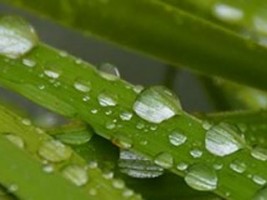 zAnything-All-Computers