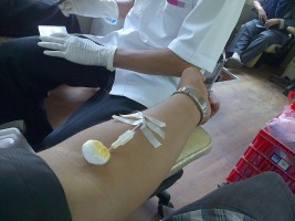 blood-donation-376952_1920
