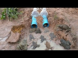 Smart Girl Make Deep Hole Bottle Frog Trap To Catch A Lot Of Frog