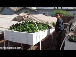 Backyard aquaponics as self-sustained farm in (sub)urban LA
