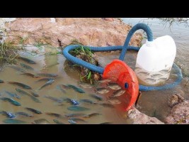 Believe This Fishing? Unique Fish Trapping System Using Long Pipe & Big Plastic Bottle By Smart Boy